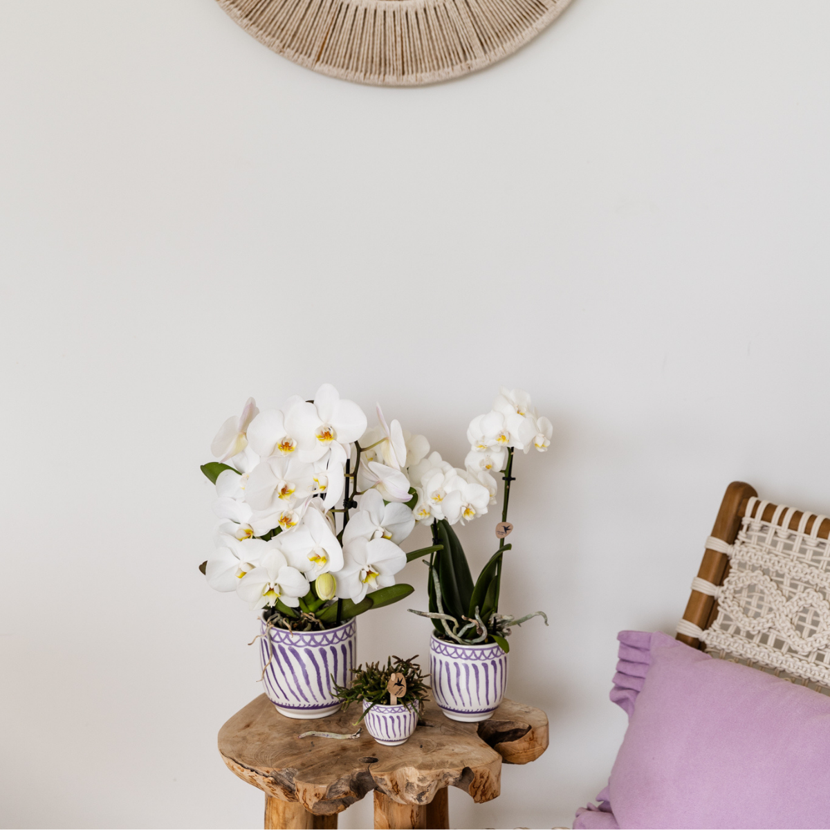 Kolibri Home | Granada - Lilac - Ø9cm