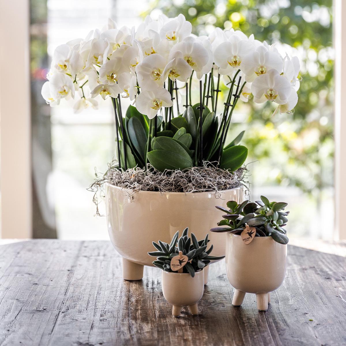 Kolibri Home | Gummy pot travertine Ø9cm - Ø9cm
