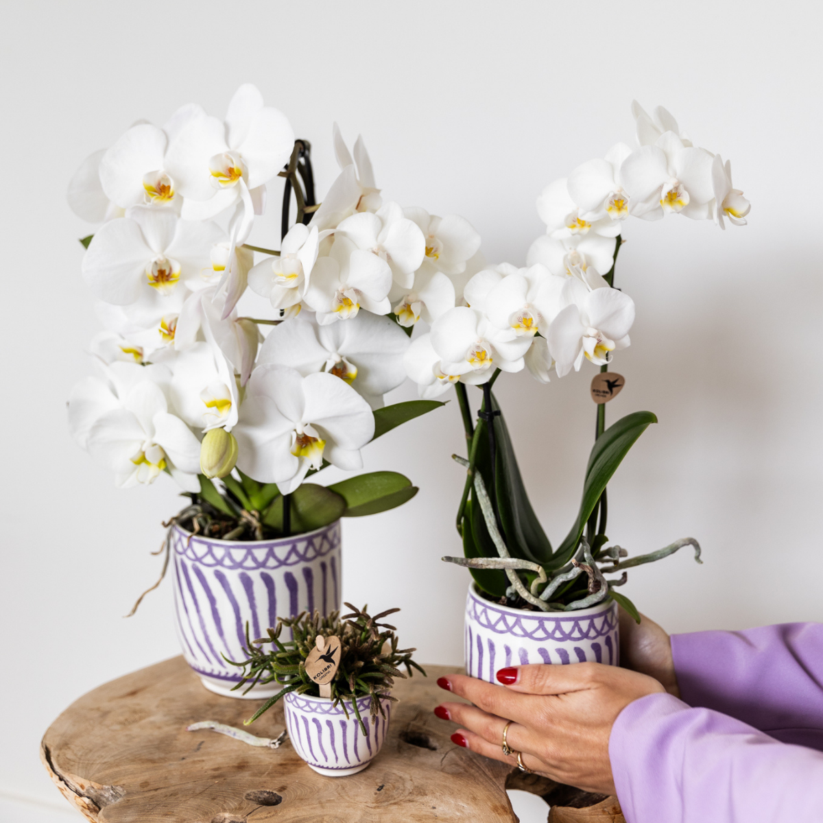 Kolibri Home | Granada - Lilac - Ø9cm