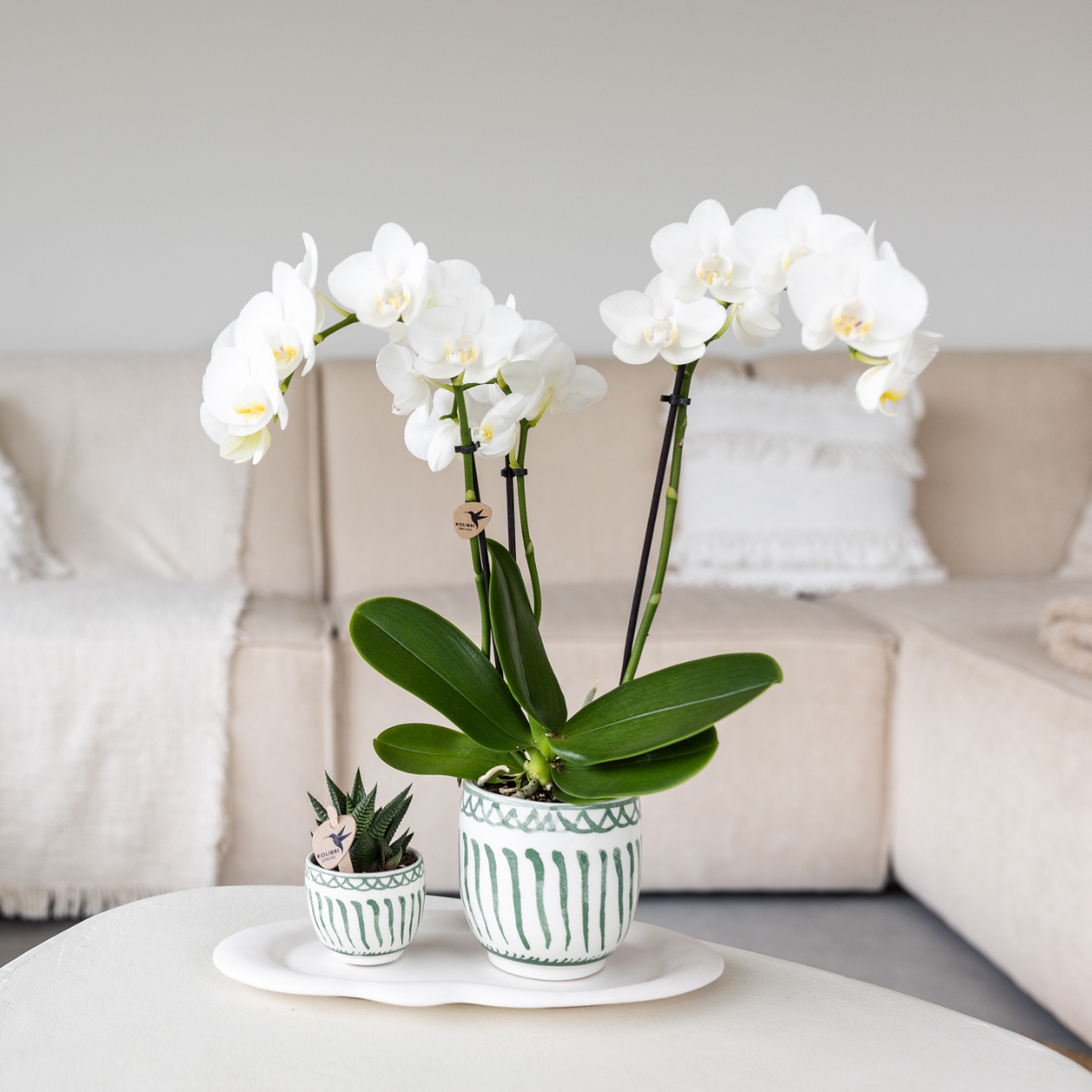 Kolibri Home | Granada - Green - Ø9cm