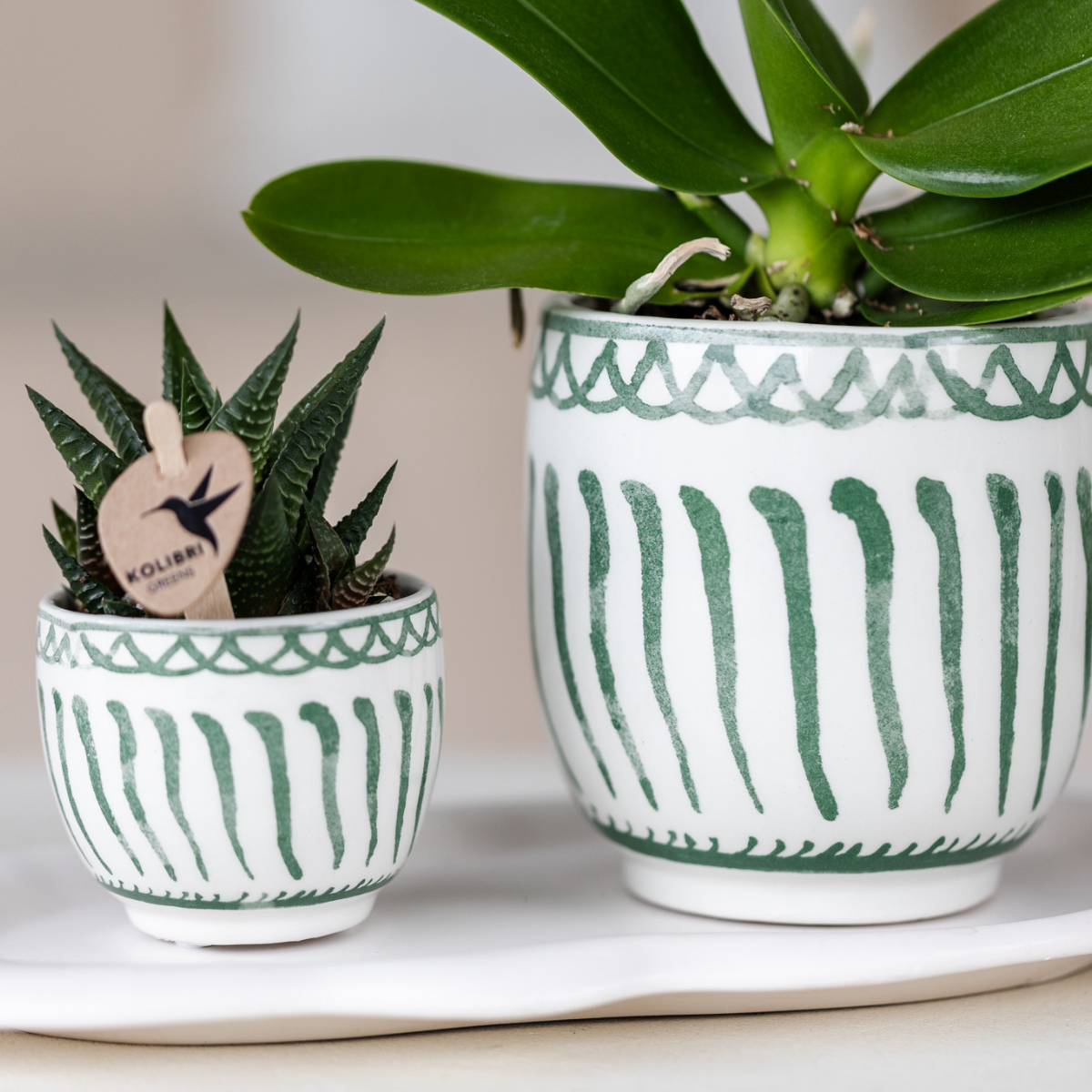 Kolibri Home | Granada - Green - Ø9cm
