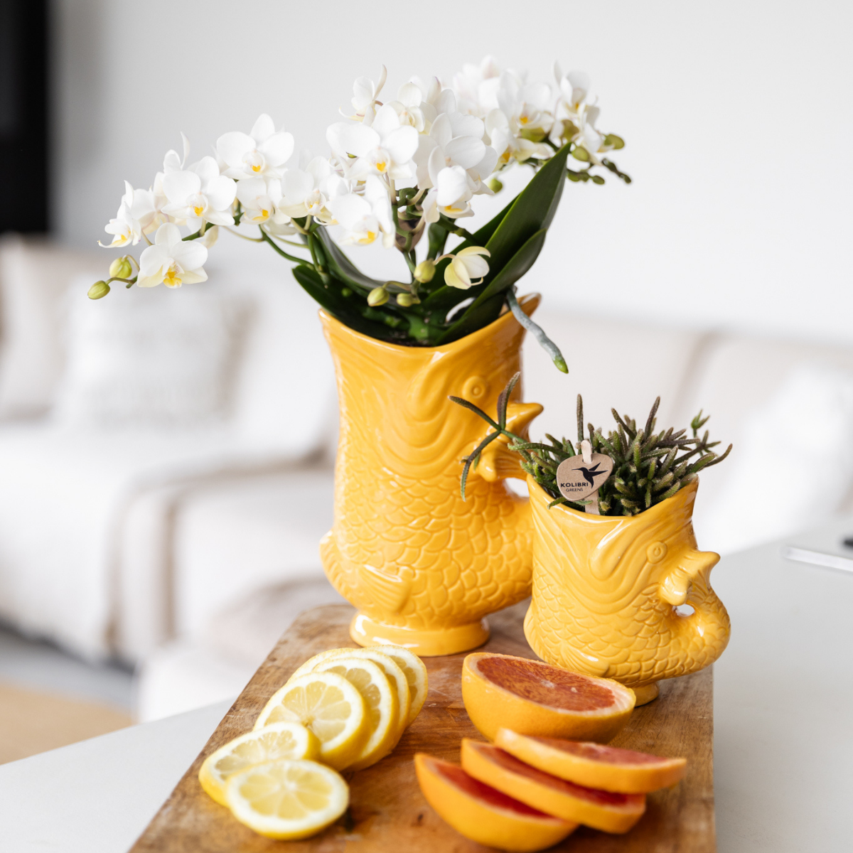 Kolibri Home | Fish - Orange - Ø9cm