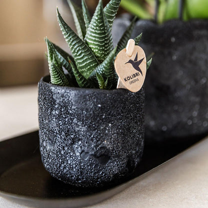 Kolibri Home | Moon Dekotopf  - Black - Ø9cm
