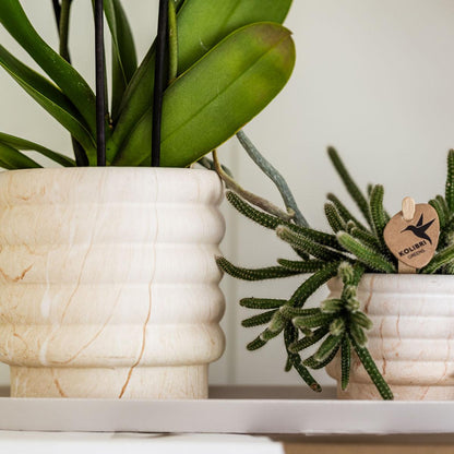 Kolibri Home | Kombi-Angebot - Marble Light Töpfe
