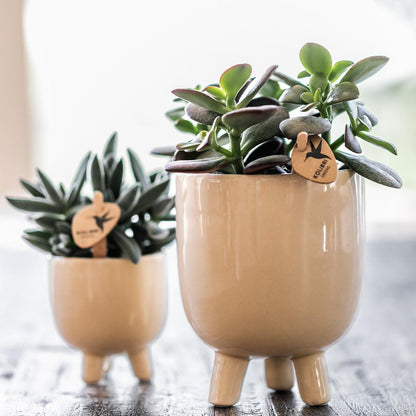 Kolibri Home | Gummy pot travertine Ø9cm - Ø9cm