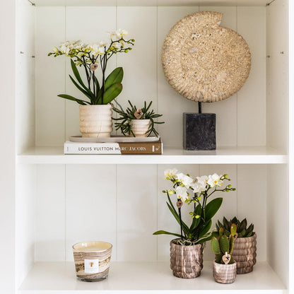 Kolibri Home | Kombi-Angebot - Marble Light Töpfe