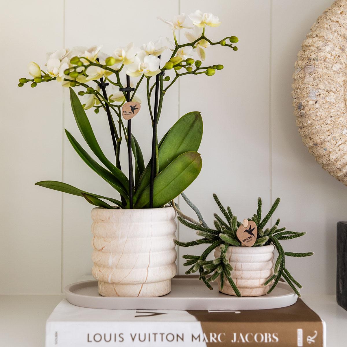 Kolibri Home | Kombi-Angebot - Marble Light Töpfe