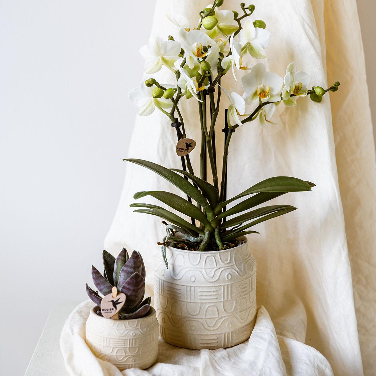 Kolibri Home | Hyroglyph Dekotopf - Off White - Ø9cm