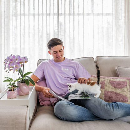 Kolibri Company | Pflanzenset Valentinstag 'Candy' | Rosa Phalaenopsis Orchidee Portugal und Sukkulente inkl. Keramik-Dekotöpfen